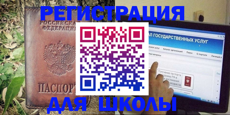 прописка для школы в Пушкино